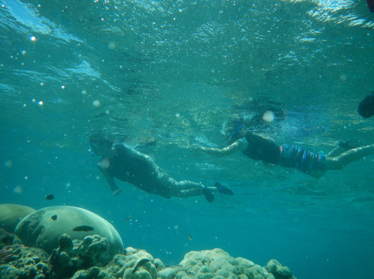 Mystery Island-Aneityum Island必去景点