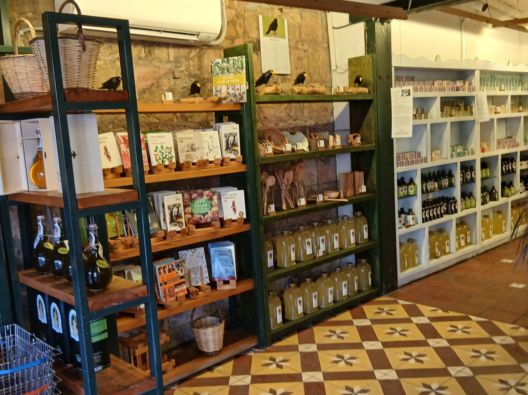 Adatepe Olive Oil Museum-Ayvacik必去景点