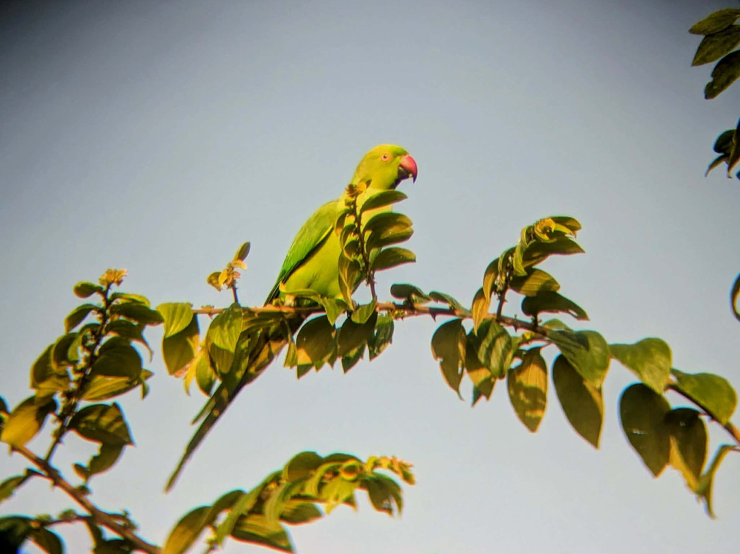 Udawalawe Lahiru Safari Guide Tours-乌达瓦拉维国家公园必去景点