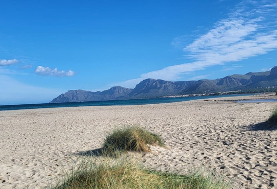 Son Serra de Marina Beach-Son Serra de Marina必去景点