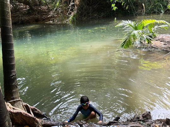 Mason's Swimming Hole-Cape Tribulation必去景点
