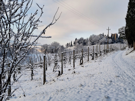 Torre Ca' Bianca di Alessandro Fedrizzi-Castello di Serravalle必去景点