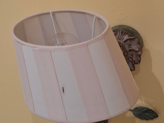 Ringhotel Zum Goldenen Ochsen主图