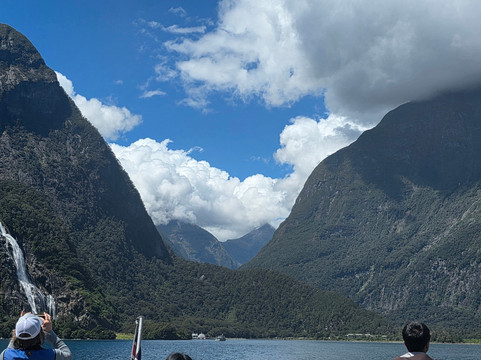 Stray-奥克兰中心地区必去景点