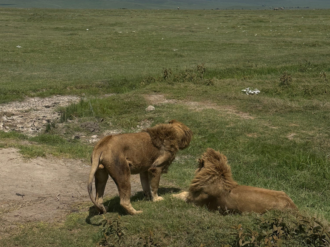 Utukufu Travels and Adventures-阿鲁沙必去景点