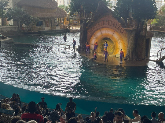 SeaWorld Yas Island Abu Dhabi-阿布扎比必去景点