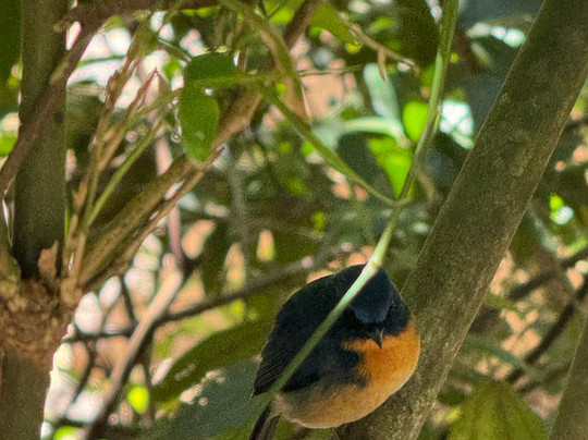 Andrews Eco Tours and Taxi-奴娃拉伊利雅必去景点