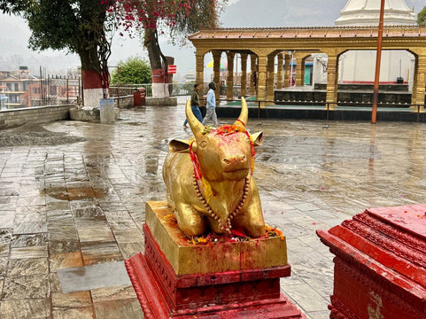 Bindhya Basini Temple-博卡拉必去景点