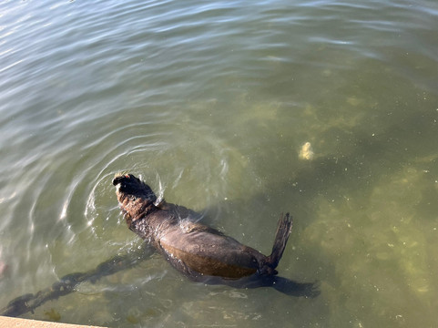 波多黎各德埃斯特角城-埃斯特角城必去景点