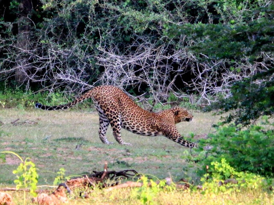 Travel With Asanka-康提必去景点