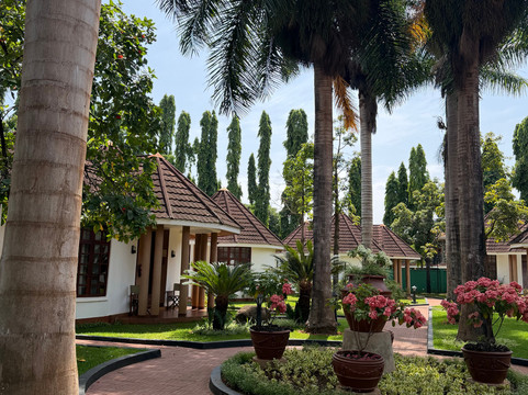 Black Willow Safaris-桑给巴尔岛必去景点