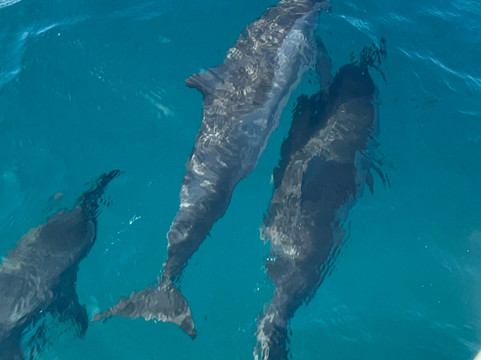 Slow Travel Noronha-Vila dos Remedios必去景点