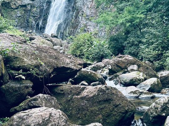 Reserva Natural Salto Morato-Guaraquecaba必去景点