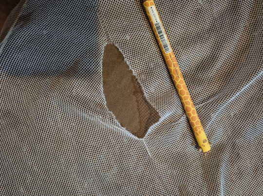 Bayview Sunset Resort主图