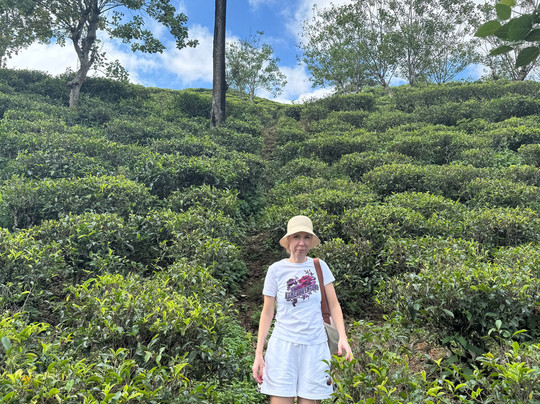 Tango Tours Sri Lanka-唐卡拉必去景点