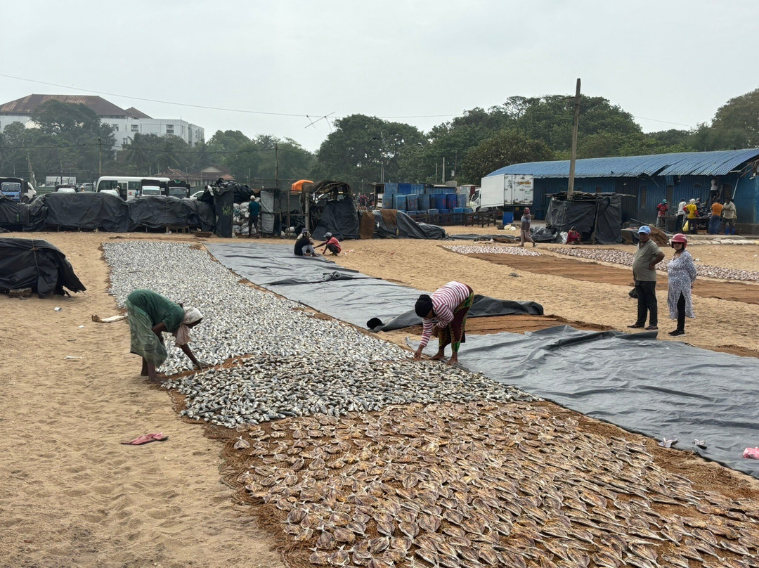 Hm Tours Sri Lanka-卡图纳耶克必去景点