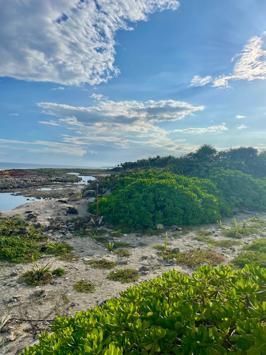 希尔顿图兰玛雅海岸全包度假村-浴室