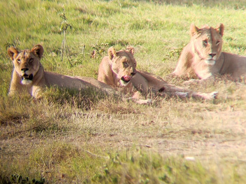 Malik Safari-马林地必去景点