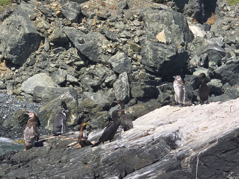 Turismo Physalus-Chanaral de Aceituno必去景点