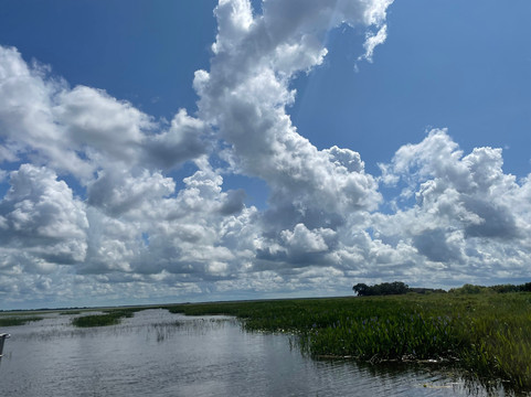 Grape Hammock Airboat & Alligator Tours-莱克威尔士必去景点