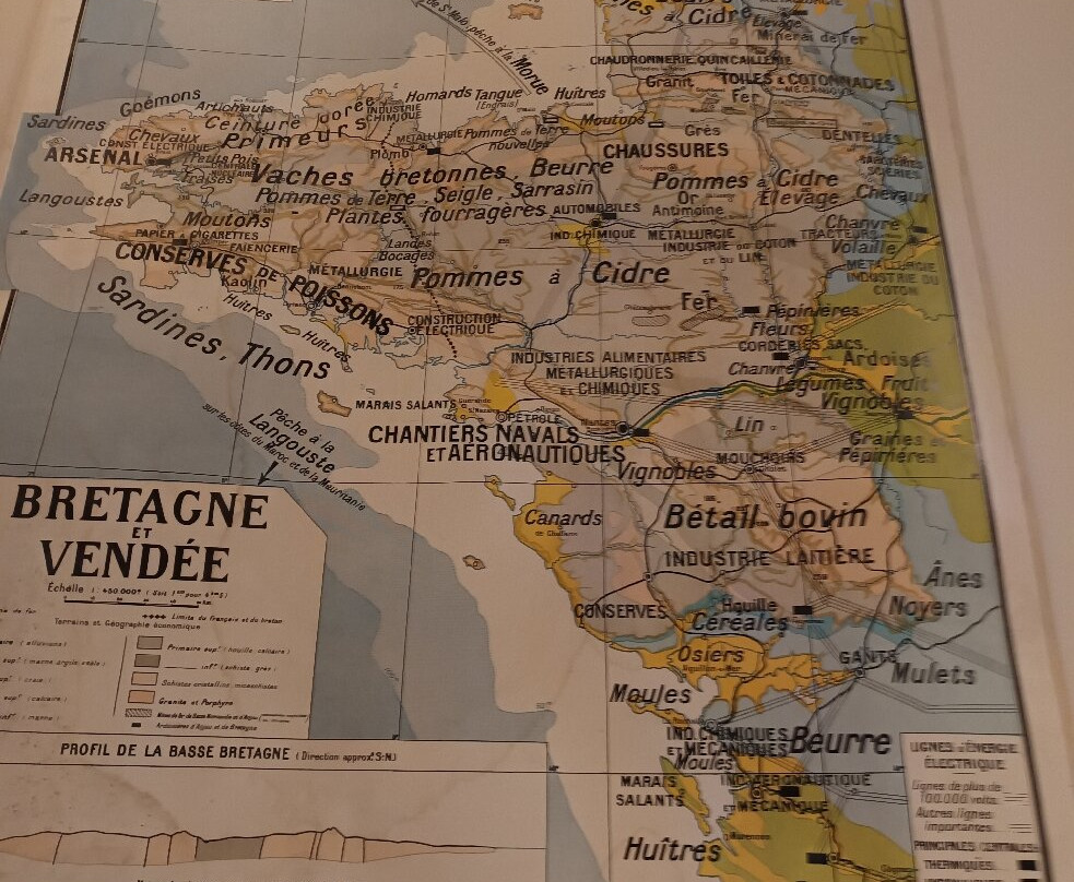 Musée des Commerces d'autrefois-罗什福尔必去景点