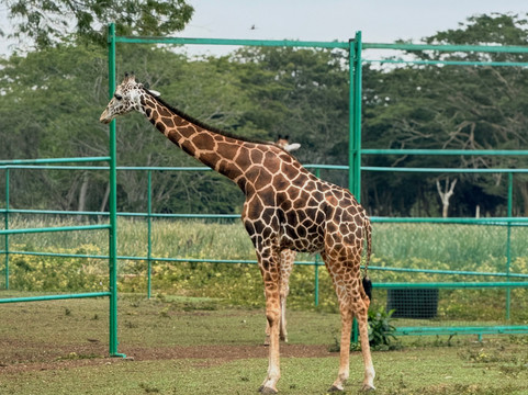 Yumká-Villahermosa必去景点