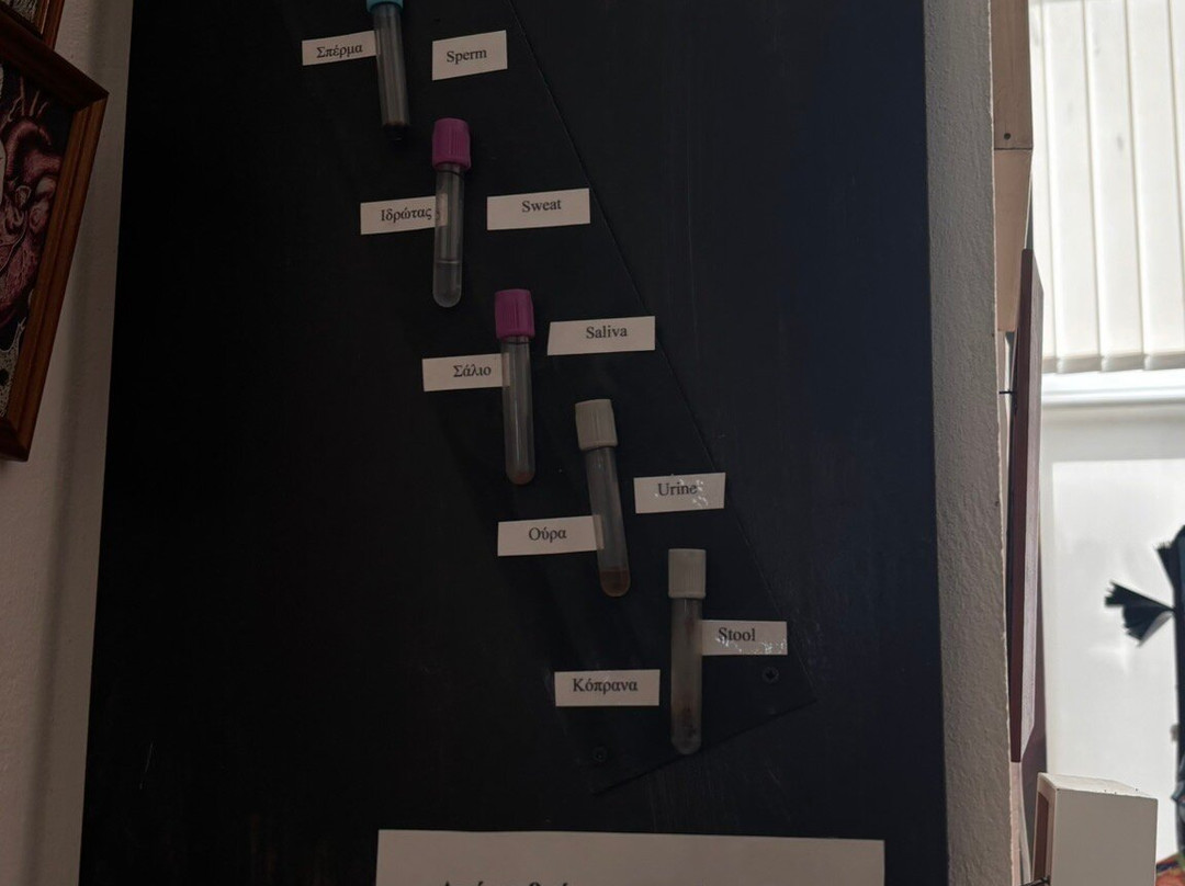 Kyriazis Medical Museum-拉纳加必去景点