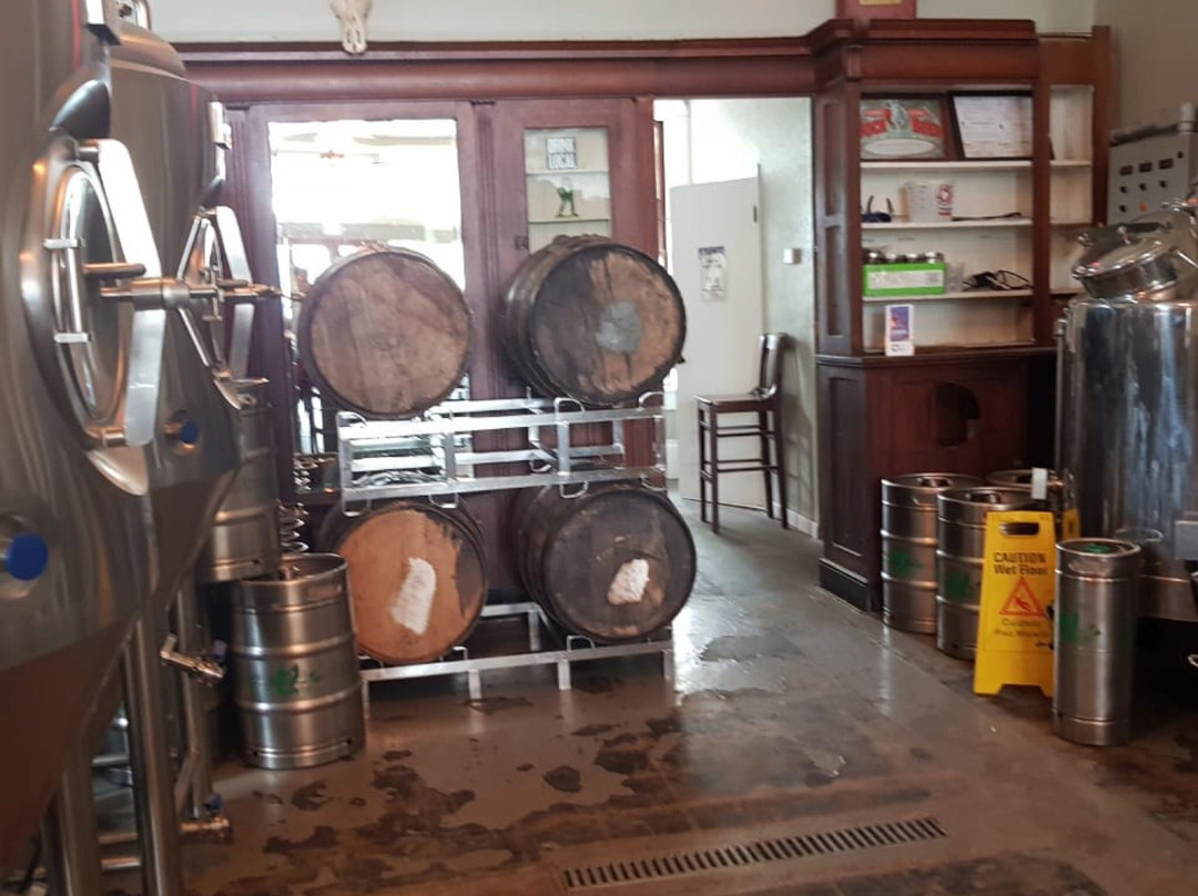 Two Frogs Brewing Company-塔彭斯普林斯必去景点