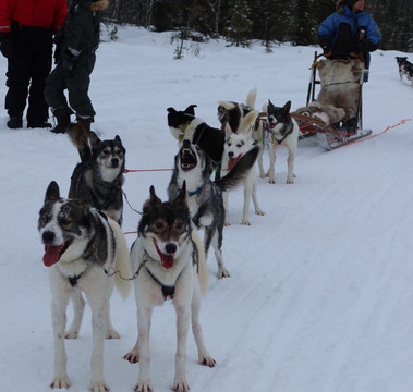 拉普兰极光&摄影之旅-阿比斯库必去景点
