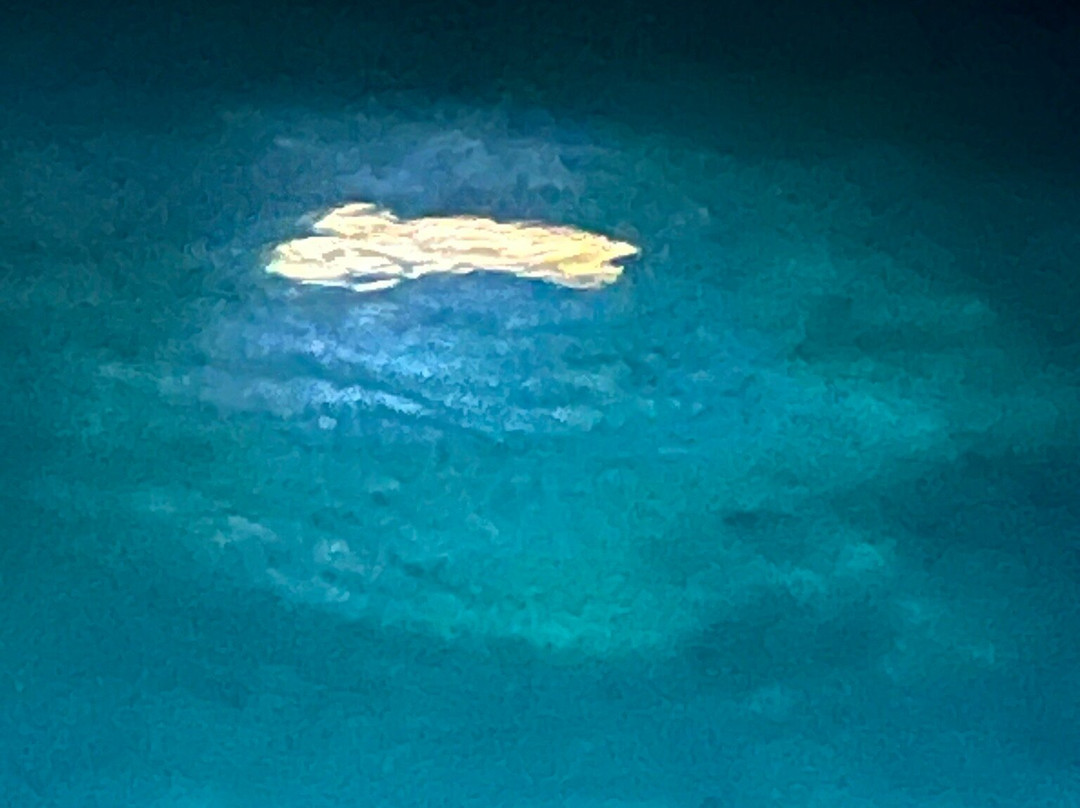 Transparensea by Glass Bottom Boats of Islamorada-伊斯拉摩拉达必去景点