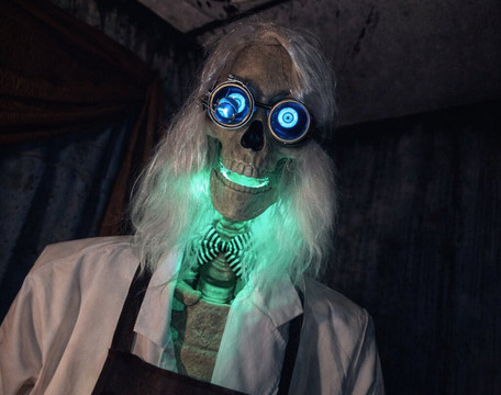 Appalachian Oddities-Weston必去景点