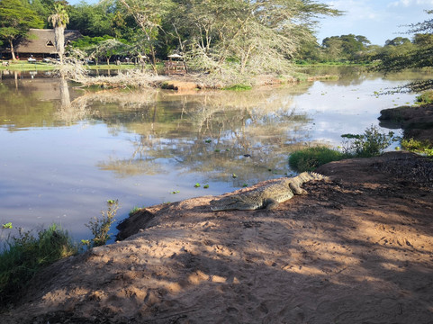 Safari Talk Tours Ltd-蒙巴萨必去景点