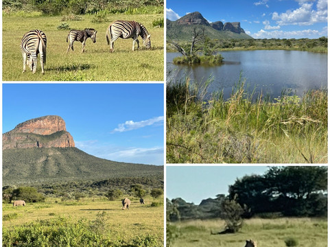 Loisico Tours and Excursions-Bloubergstrand必去景点