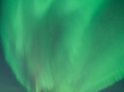 Blue Puffin - Tromso Experiences-特罗姆瑟必去景点