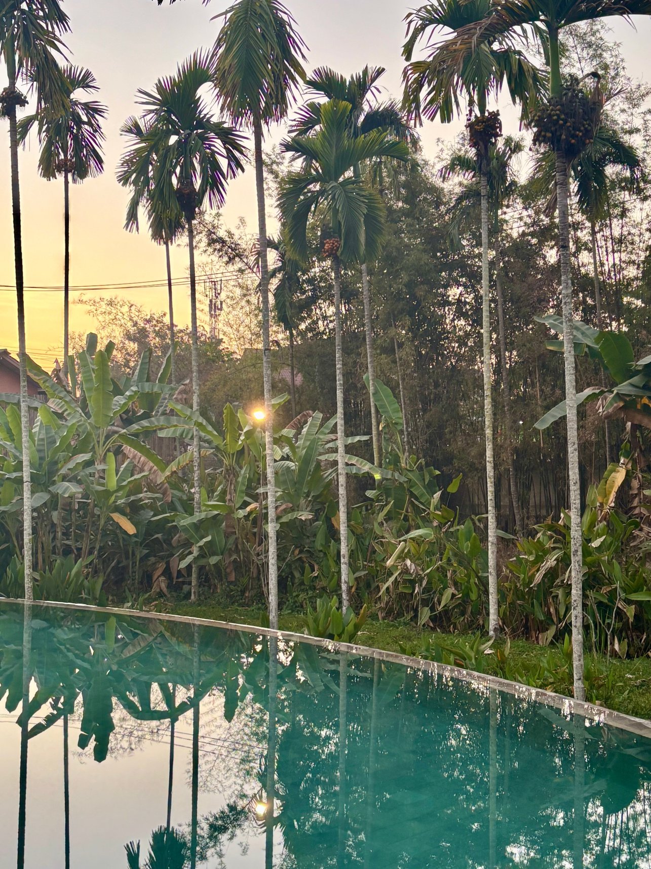 卢昂岛赛居所-泳池