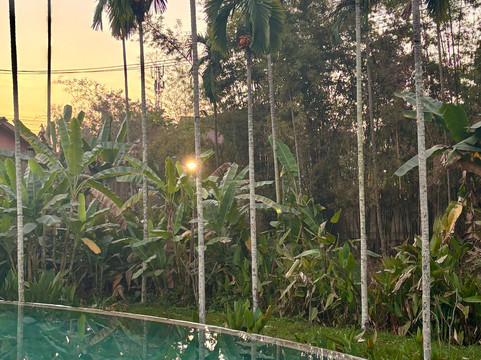 卢昂岛赛居所主图