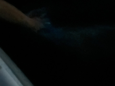 BioIsland-Cabezas必去景点