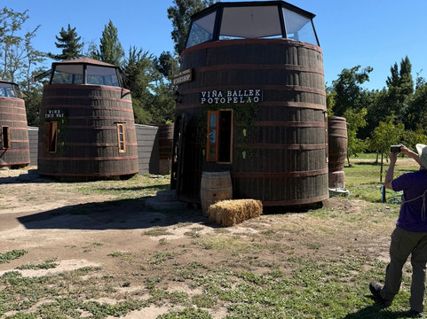 Viña Ballek-Isla de Maipo必去景点