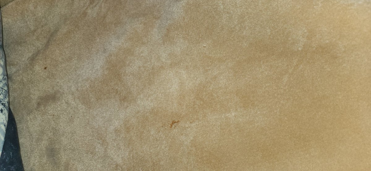 云杉山丘度假村及水疗中心-官方