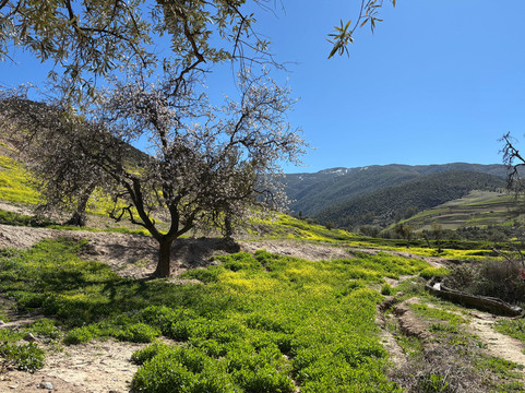 Berber Travel Adventures-Amizmiz必去景点