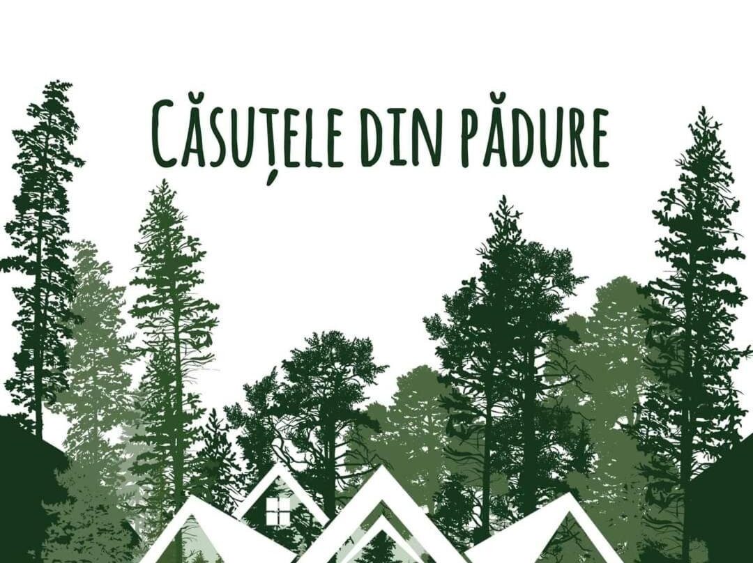 Casutele Din Padure