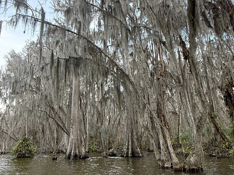 CatBoat Adventure Tours-Mount Dora必去景点
