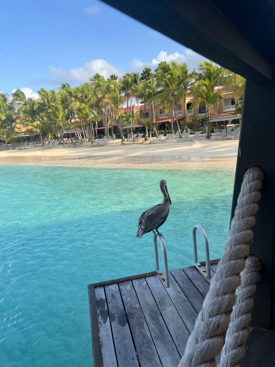 博奈尔海港村海滩俱乐部-浴室