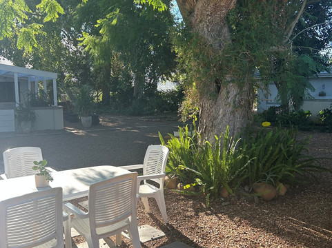 帕尔钮瑞斯旅馆主图