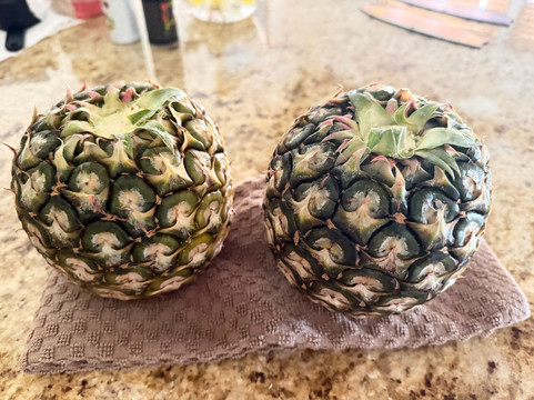 Sugarloaf Pineapple Farm-基拉韦厄必去景点