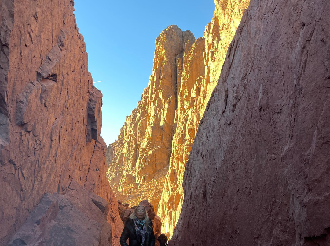 Nice Tours-沙姆沙伊赫必去景点
