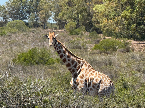 Groote Post Winery-Darling必去景点