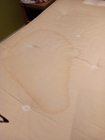 斯塔德利城堡酒店-客卧