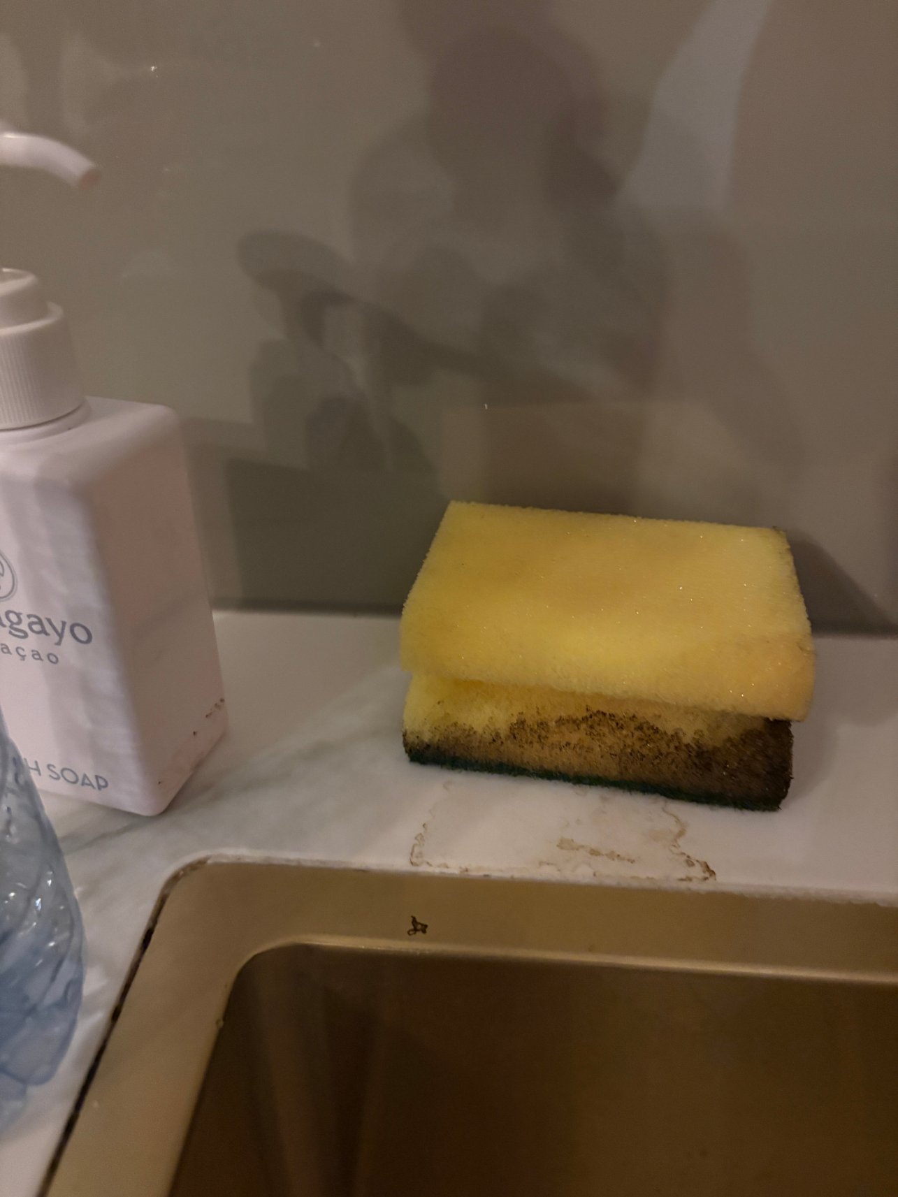 鹦鹉海滩度假酒店-官方