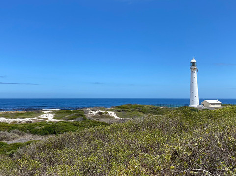 野玫瑰国家旅舍4主图